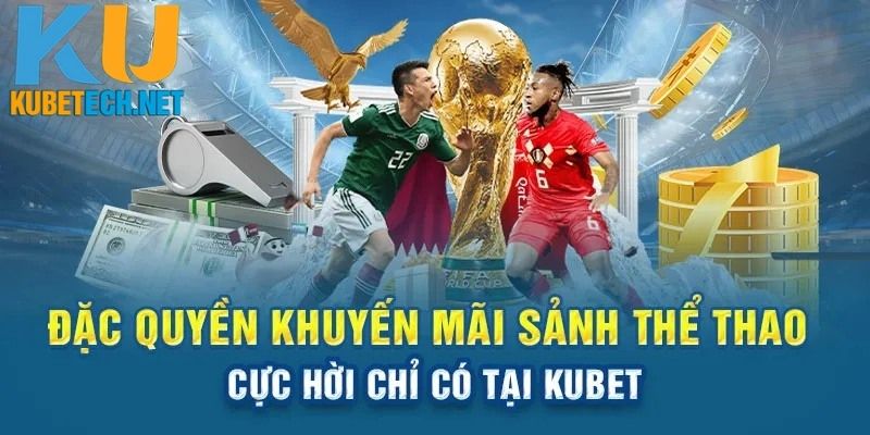 bao-hiem-the-thao-12-%