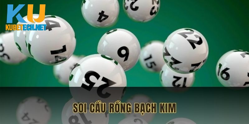 soi-cau-rong-bach-kim